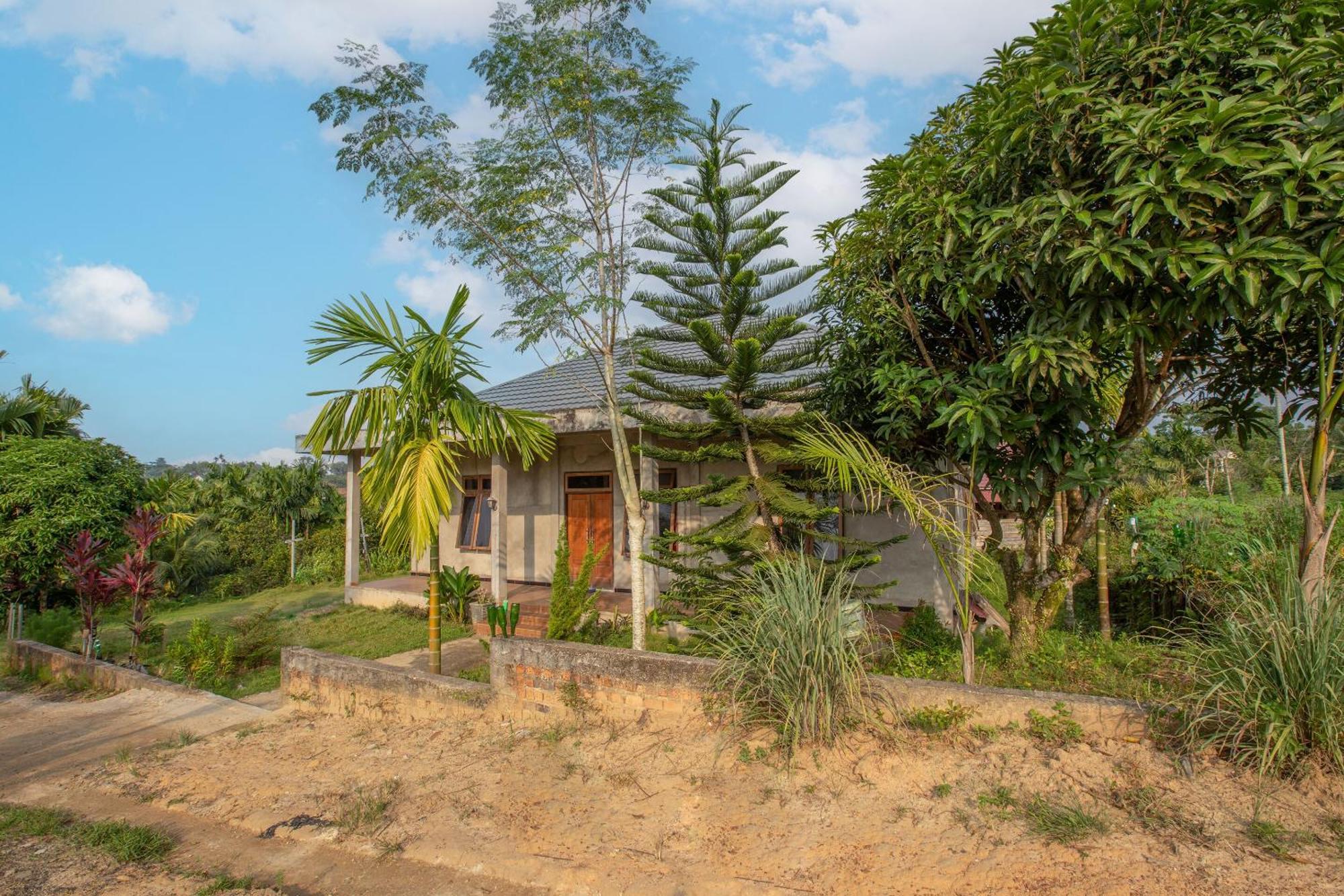 Oyo 92587 Homestay Romauli Kampung Radja Jambi Kültér fotó